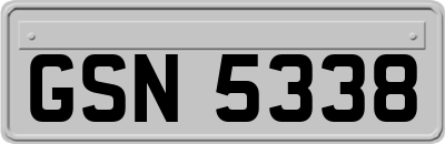 GSN5338