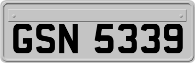 GSN5339