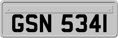 GSN5341