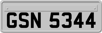 GSN5344