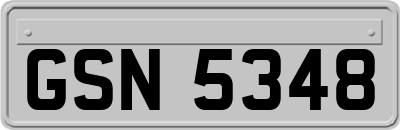 GSN5348