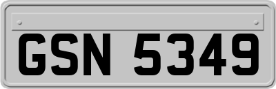 GSN5349