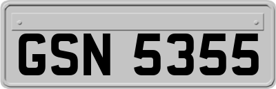 GSN5355