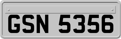 GSN5356