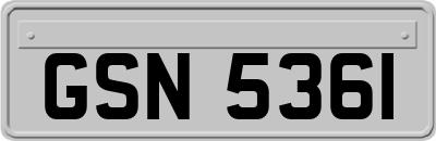 GSN5361