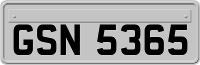 GSN5365