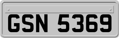 GSN5369