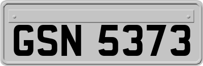 GSN5373
