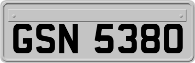 GSN5380