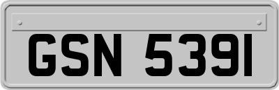 GSN5391