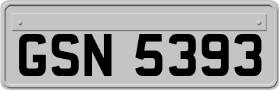 GSN5393