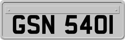 GSN5401