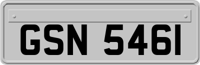 GSN5461