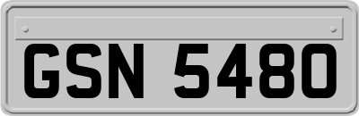 GSN5480