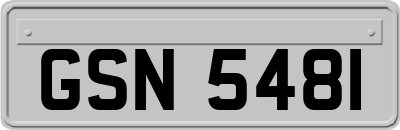 GSN5481