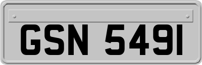 GSN5491
