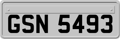 GSN5493