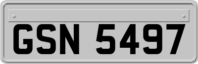 GSN5497