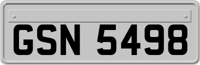 GSN5498