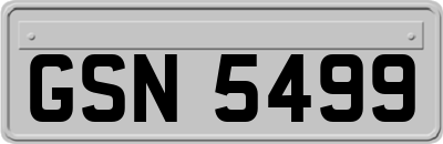 GSN5499