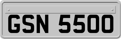 GSN5500