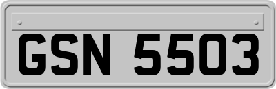 GSN5503