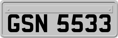 GSN5533