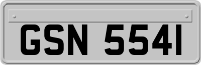 GSN5541