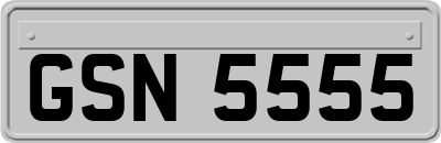 GSN5555