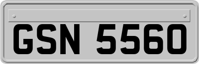 GSN5560