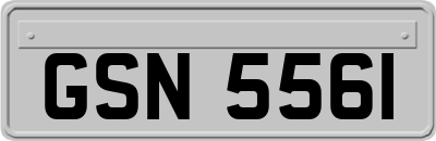 GSN5561