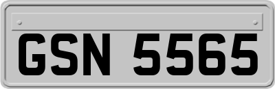 GSN5565