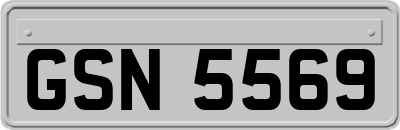 GSN5569