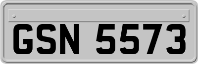 GSN5573