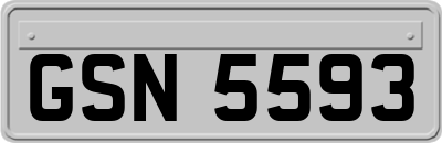GSN5593