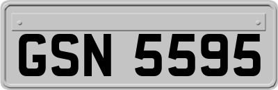 GSN5595