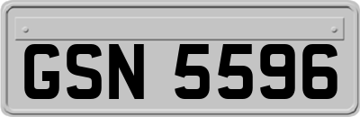 GSN5596