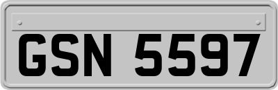 GSN5597