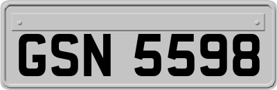 GSN5598