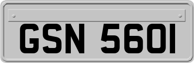 GSN5601