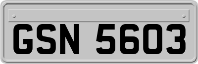 GSN5603