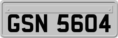 GSN5604
