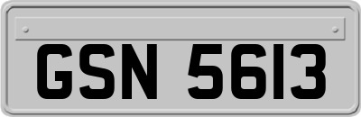 GSN5613