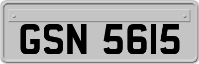 GSN5615
