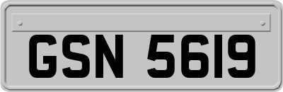 GSN5619