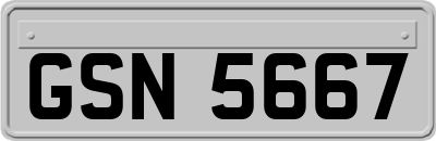 GSN5667