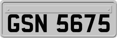 GSN5675