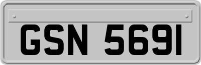 GSN5691