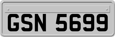 GSN5699