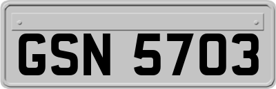 GSN5703